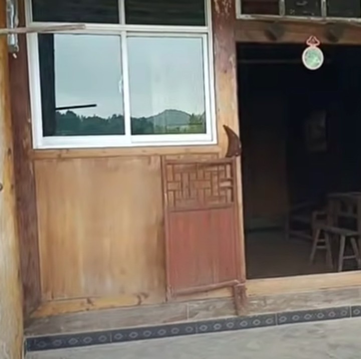<p>Rumahya memiliki desain arsitektur klasik China. Bahan bangunan rumah didominasi kayu. (Foto: YouTube Daily Tika Weixun di China)</p>