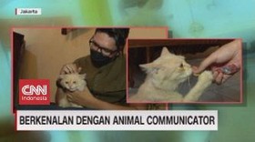 VIDEO: Berkenalan dengan Animal Communicator