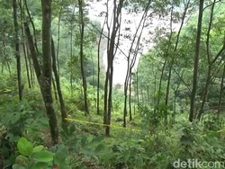 Geger Penemuan Mayat di Dalam Jurang di Purwakarta