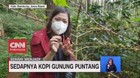 VIDEO: Sehari Menjadi Petani Kopi