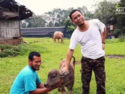 5 Artis Ini Sekarang Sukses dan Bahagia Jadi Petani dan Peternak