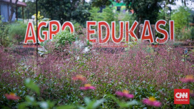 FOTO: Container Farming, Bercocok Tanam Tanpa Tanah