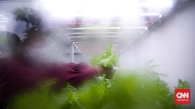 FOTO: Container Farming, Bercocok Tanam Tanpa Tanah