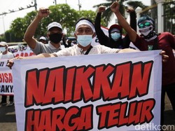 Merespons Sambat Peternak Ayam (Petelur)