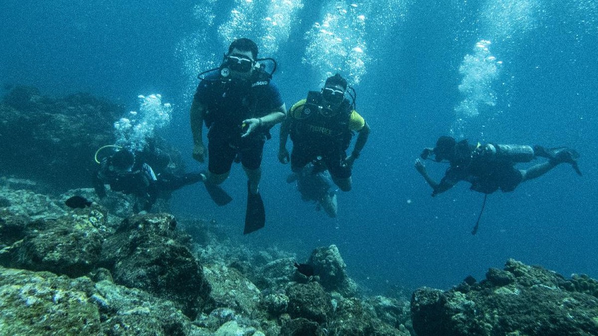 FOTO: Menyelam di Antara Tebing Laut Batee Tokong Aceh