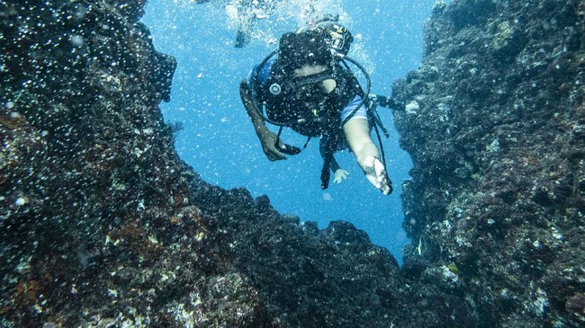 Para ilmuwan berhasil mendeteksi gunung berapi setinggi 2.690 kaki di bagian Barat Samudra Hindia, di lepas Madagaskar, menyusul serentetan gempa bumi