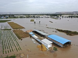 Banjir di China Tewaskan 28 Orang, Ada Bus Jatuh ke Sungai