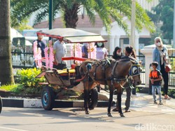 6 Transportasi Tradisional Indonesia, Siswa Sudah Pernah Naik?