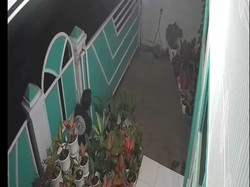 Maling Satroni 3 Rumah di Tasik, Sejumlah Tanaman Hias Raib