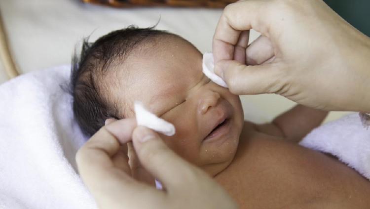 mata bayi Mata bayi baru lahir