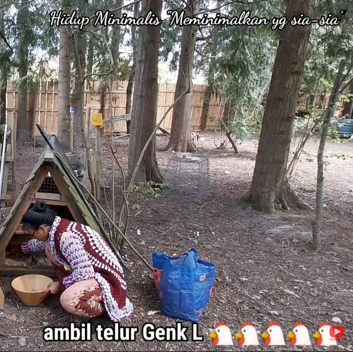 <p>Sehari-hari, ia mengurus peternakan beberapa ekor ayam di halaman belakang rumah. Ia juga terlihat mendapat telur segar dari sana, lho. (Foto: YouTube: Ima Vandam Channel)</p>