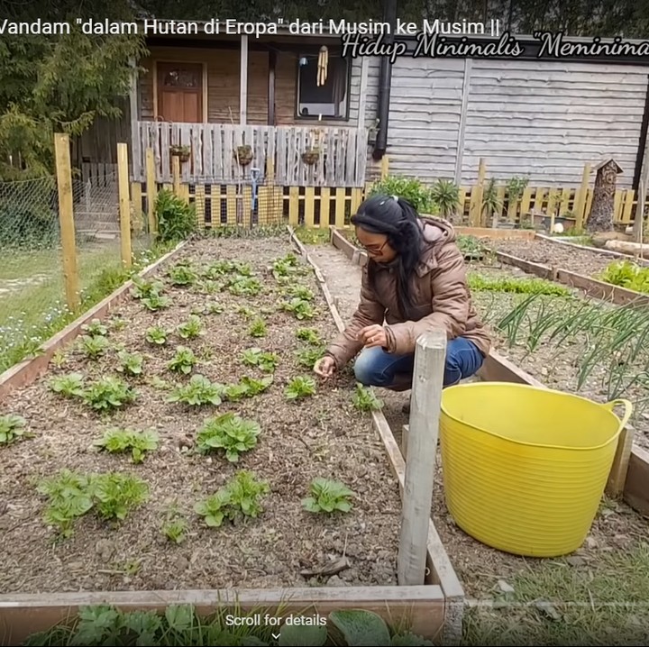 <p>Enggak hanya beternak ayam, Ima juga disibukkan dengan kebun mini miliknya, Bunda. Di sana, ia menanam sayuran hingga beberapa jenis bunga yang membuat rumahnya tampak begitu asri sekaligus indah dipandang.(Foto: YouTube: Ima Vandam Channel)</p>