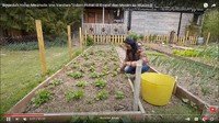 <p>Enggak hanya beternak ayam, Ima juga disibukkan dengan kebun mini miliknya, Bunda. Di sana, ia menanam sayuran hingga beberapa jenis bunga yang membuat rumahnya tampak begitu asri sekaligus indah dipandang. (Foto: YouTube: Ima Vandam Channel)</p>