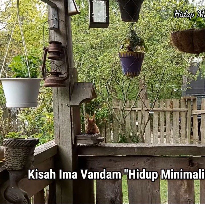 <p>Rumah Ima dan suaminya itu memang berdiri di tengah hutan dan dikelilingi pepohonan. Oleh karena itu, tak heran jika ada beberapa hewan liar yang bertamu ke hunian mereka. (Foto: YouTube: Ima Vandam Channel)</p>