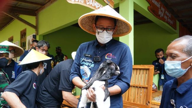Sandiaga Nobatkan Desa Wisata Pandanrejo Masuk ADWI 2021 Sandiaga Uno menyerahkan penghargaan Anugerah Desa Wisata Indonesia (ADWI) 2021 kepada Desa Wisata Pandanrejo, Purworejo, Jawa Tengah, pada Selasa (12/10).