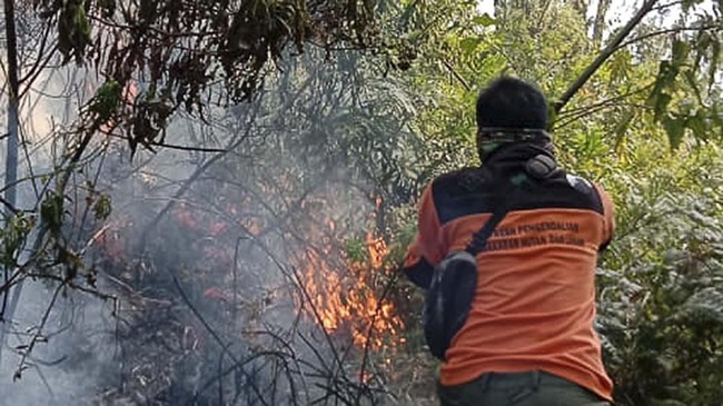 Dua lokasi yang menjadi titik kebakaran yakni di Resort Suban Trisula dan Resort Gunung Penanjakan, di blok Pondok Kawat.
