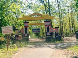 9 Tempat di Alas Ketonggo Ngawi yang Dipercaya Petilasan Raja Brawijaya V