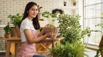 TANAMAN INDOOR JADI SALAH SATU CARA ANDALAN UNTUK MENJAGA KUALITAS UDARA DI RUMAH