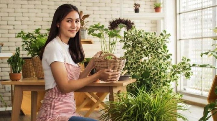 Menjaga kualitas udara di rumah agar tetap segar adalah hal penting untuk meningkatkan kesehatan anggota keluarga. Simak tipsnya di sini yuk, Bunda.