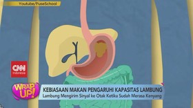 VIDEO: Kebiasaan Makan Pengaruhi Kapasitas Lambung