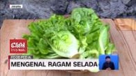 VIDEO: Mengenal Ragam Selada