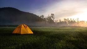 Healing Forest Ranca Upas, Meditasi sembari Wisata Alam