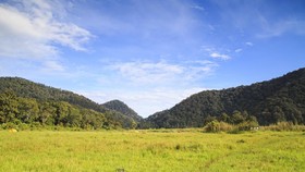 Imbas Habitat Edelweis Rusak, Off Road di Ranca Upas Kini Dilarang