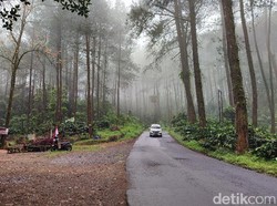 Siluman Ular Penghuni Puncak Jahim Ciamis