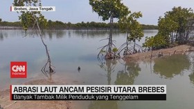 VIDEO: Abrasi Laut Ancam Pesisir Utara Brebes
