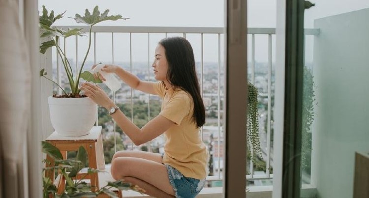 TANAMAN INDOOR BERGUNA UNTUK MEMPERCEPAT PROSES PEMULIHAN DARI PENYAKIT Selain untuk mempercantik ruangan, tanaman indoor juga memililki berbagai manfaat kesehatan untuk Bunda dan keluarga, lho. Simak selengkapnya di sini, yuk.