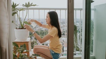 TANAMAN INDOOR BERGUNA UNTUK MEMPERCEPAT PROSES PEMULIHAN DARI PENYAKIT