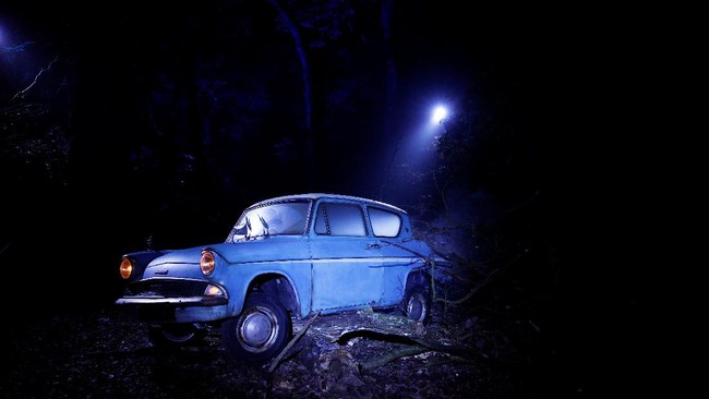 FOTO: Mengunjungi Hutan Terlarang Harry Potter