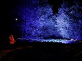 FOTO: Mengunjungi Hutan Terlarang Harry Potter