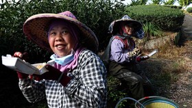 Warga Taipei Masa Bodoh jika Taiwan dan China Perang
