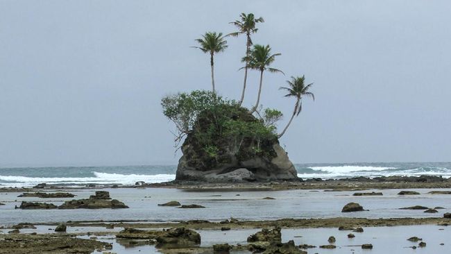 Pulau SpongeBob di Simeulue, Sepetak 'Bikini Bottom' di Aceh Di Indonesia, pemukiman Bikini Bottom yang dihuni SpongeBob SquarePants dan kawan-kawannya bisa dilihat di Kabupaten Simeulue, Aceh.