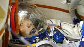 Stok Air ISS Terbatas, Apakah Astronaut Minum Urinenya Sendiri?