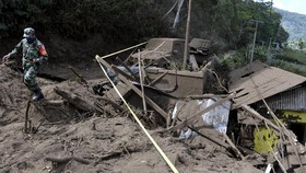 185 Gempa Guncang Bali di 2021, Nihil Magnitudo di Atas 5