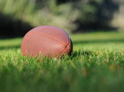Penembakan di Stadion Alabama Saat Pertandingan, 1 Orang Kritis