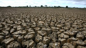 Bappenas Prediksi RI Rugi Rp544 T Gegara Perubahan Iklim