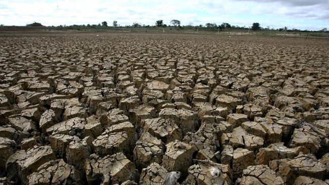 Petani Amerika Serikat (AS) terpaksa menghancurkan tanaman pertaniannya di tengah kekeringan yang melanda kawasan tersebut.