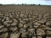 NTT Tetapkan Status Siaga Darurat Kekeringan & Karhutla Hingga Oktober