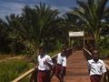 FOTO: Menengok Kearifan Lokal Desa Wisata Yoboi Papua