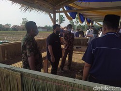 Erick Thohir Boyong BUMN Keroyokan Bantu Petani, Begini Caranya