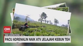 VIDEO: Pacu Adrenalin Naik ATV Jelajahi Kebun Teh