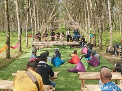 Musik, Olahraga, dan Kuliner Bersatu dalam Rubber Jazz di Banyuwangi