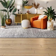 Biar Nggak Sakit-sakitan, 7 Benda Ini Wajib Ada di Dalam Rumah Menurut Fengshui