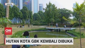 VIDEO: Hutan GBK Kembali Dibuka