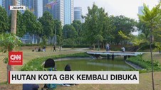 VIDEO: Hutan GBK Kembali Dibuka