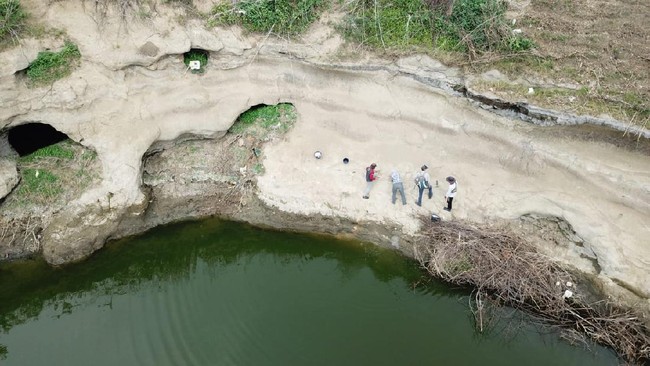 Fosil hewan yang ditemukan sejumlah peneliti ITB di Waduk Saguling, Bandung, Jawa Barat merupakan bukti adanya kehidupan prasejarah 12 ribu tahun lalu.