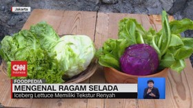 VIDEO: Mengenal Ragam Selada